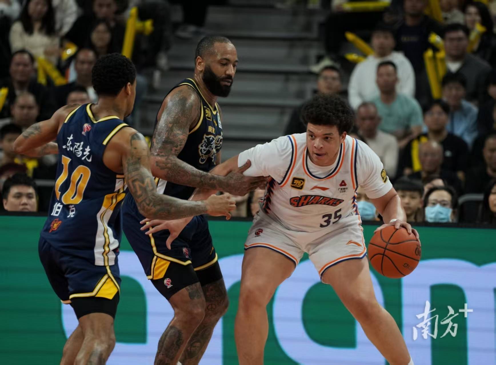 布莱顿训练开放日，国际比赛日绝杀压哨引欢呼，CBA季后赛在即，数据趋势出现新变化的简单介绍雷竞技官网